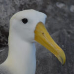 Blog thumbnail