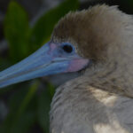 Blog thumbnail
