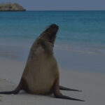 Blog thumbnail
